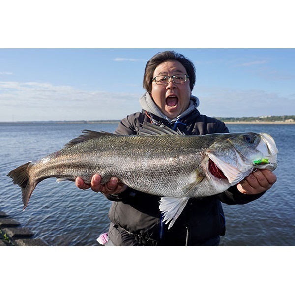 ＫＩＣＫＢＥＡＴ　５５ｍｍ　１７ｇ